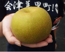 3931274391 3931274391