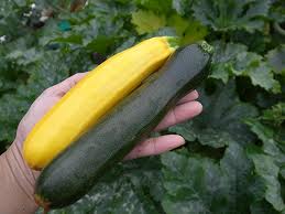 imagescaa3d68f1 imagescaa3d68f1